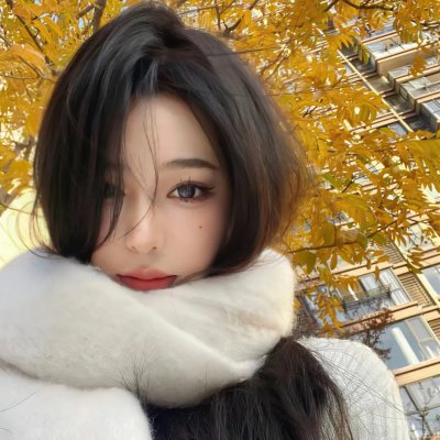 全能纳米机械狗