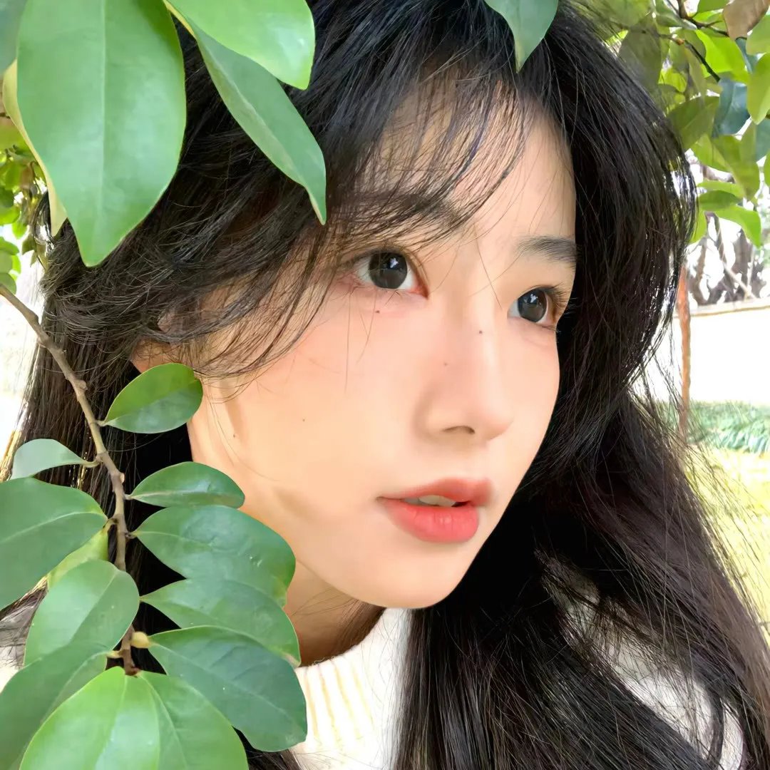 风汐志